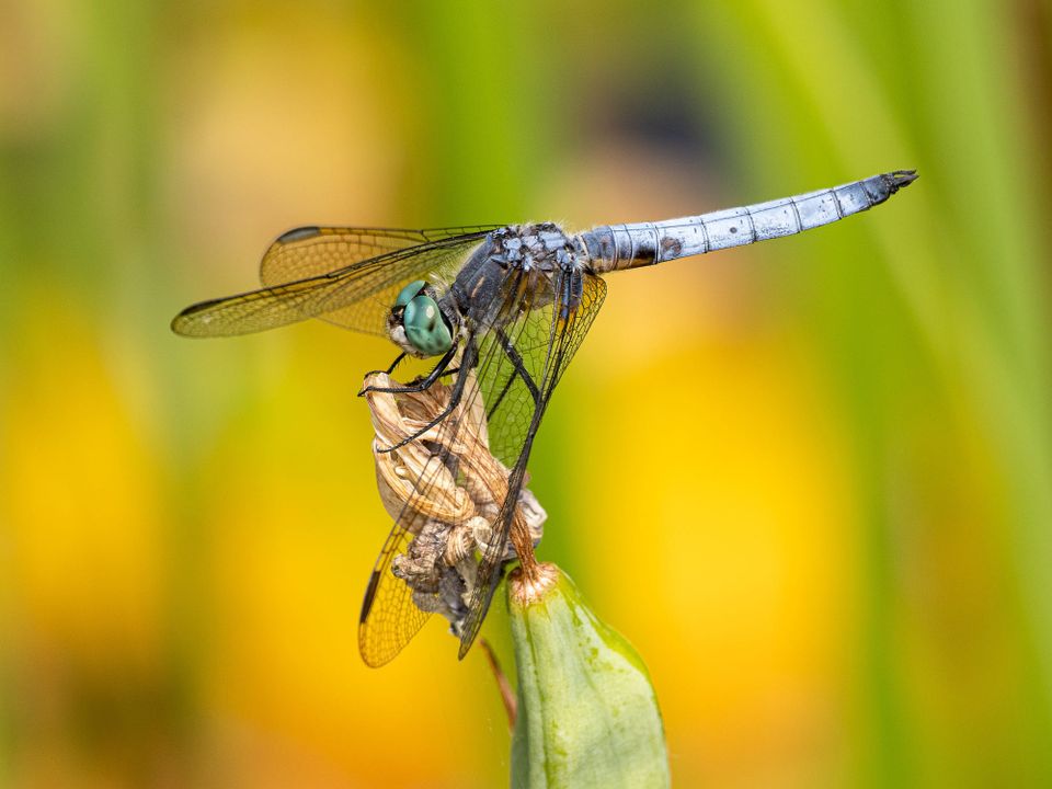 EcoWest News, July 21, 2026