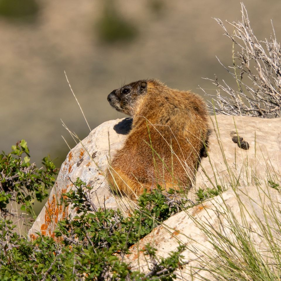 EcoWest News, July 28, 2026