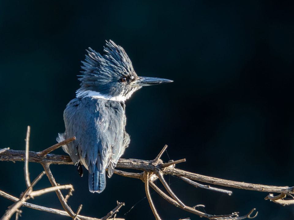 EcoWest News, October 6, 2026
