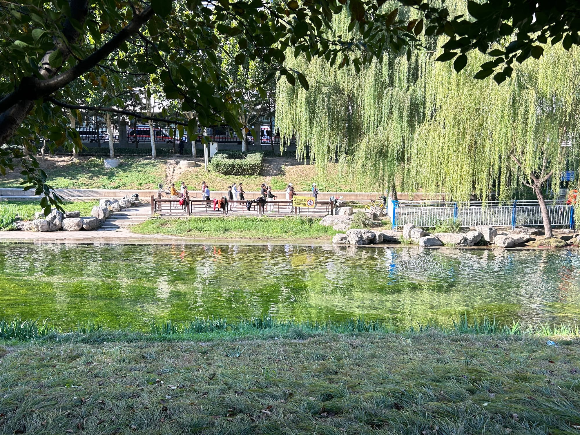 晓雯.jpg