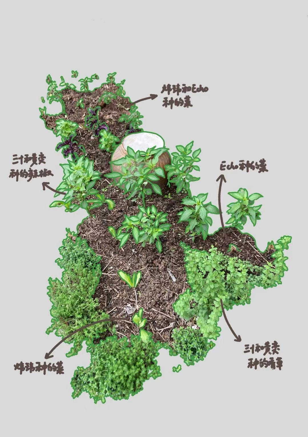 在朋友家的一年总结里，三十曾写道，「得到朋友的支持和尝试表达，是我们最重要的弥合过程。」
