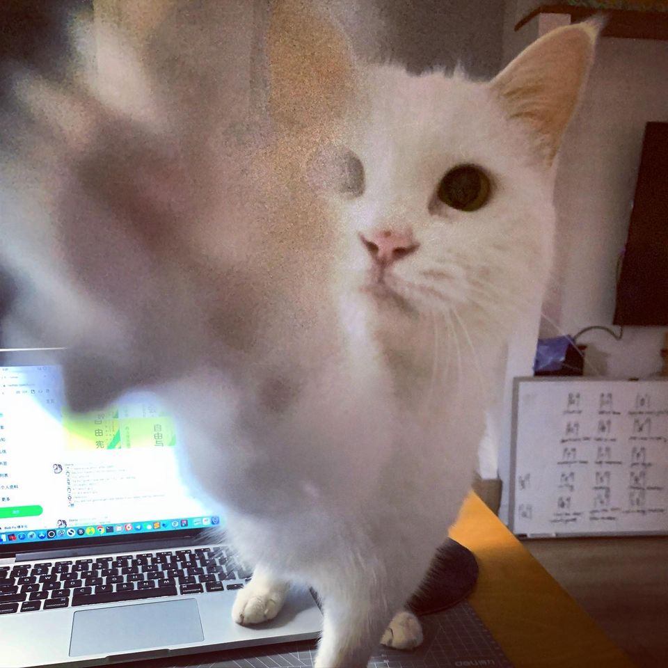 来鲍勃家见见面聊聊天（北京线下活动报名）