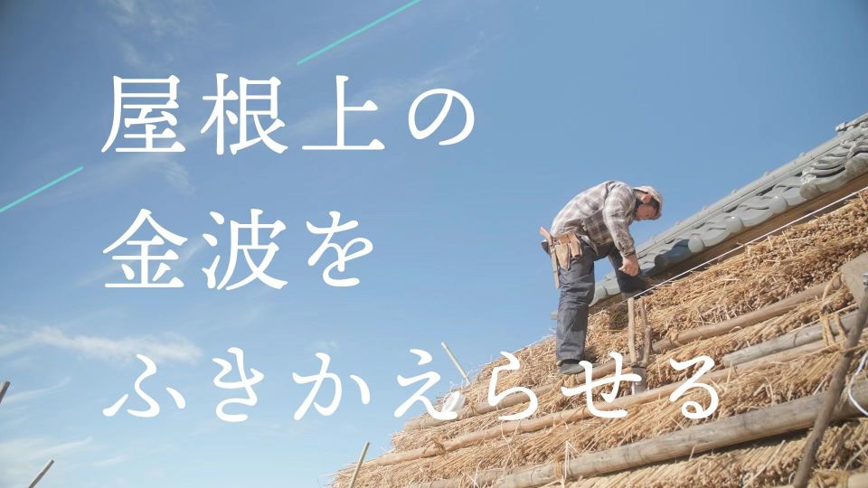 解散派对线上观影会：Sunshine，从东京搬到日本乡村茅草屋生活