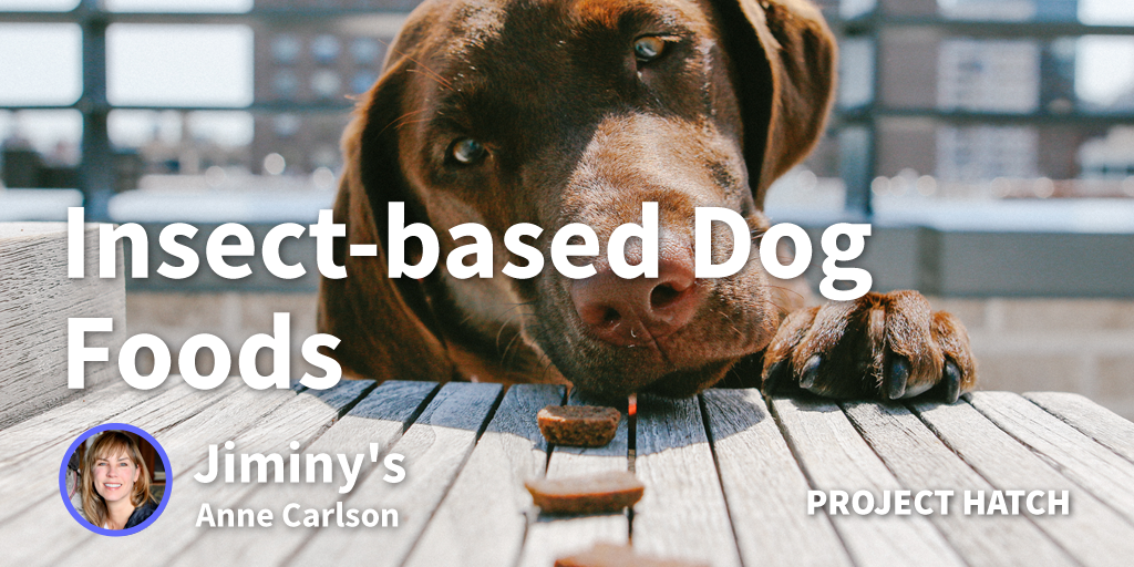 Creating a Sustainable Cricket-based Dog Food for a Healthier Pet Life
