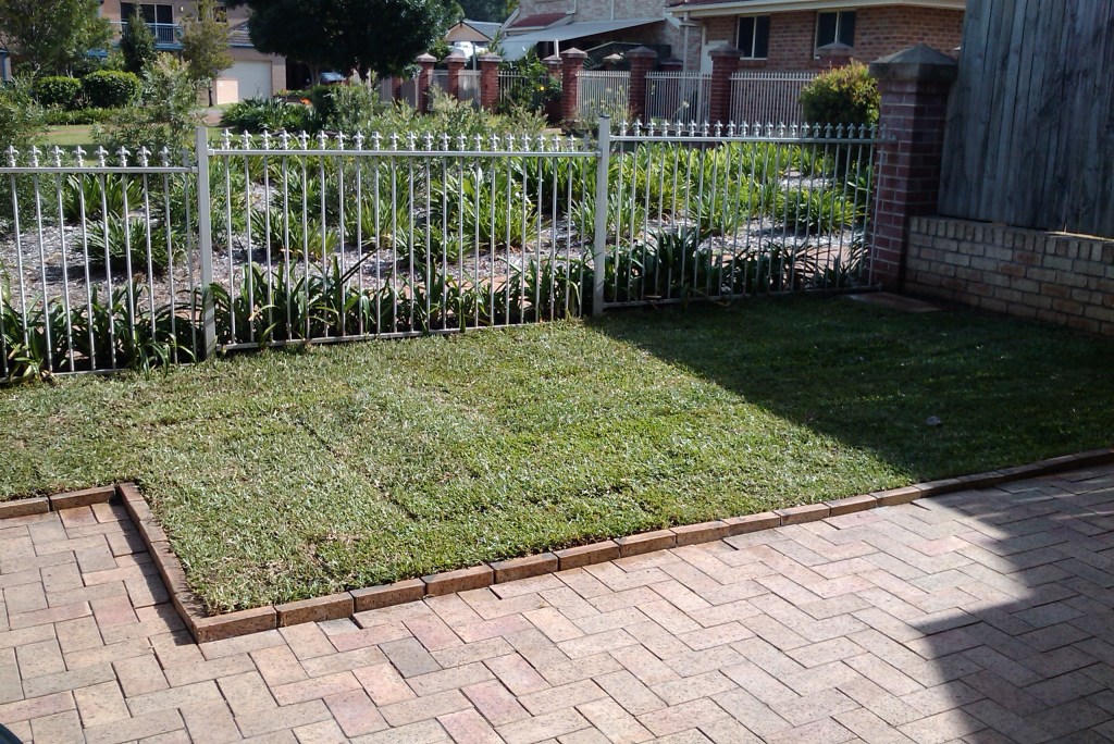 backyard grass perspective