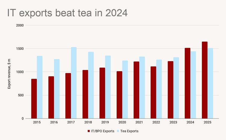 IT exports beat tea in 2024
