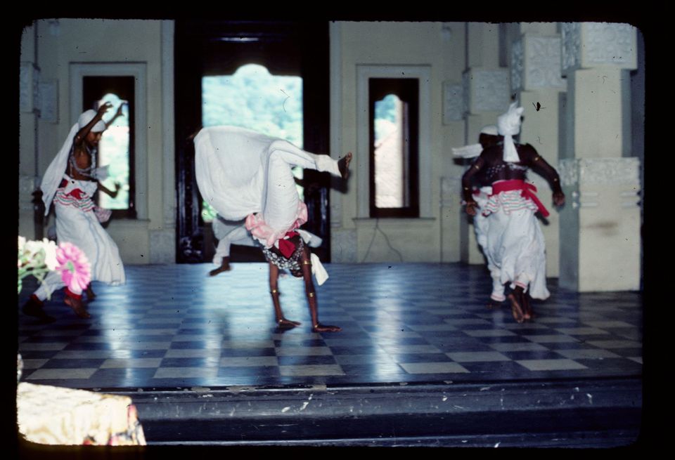 Where to go and what to read