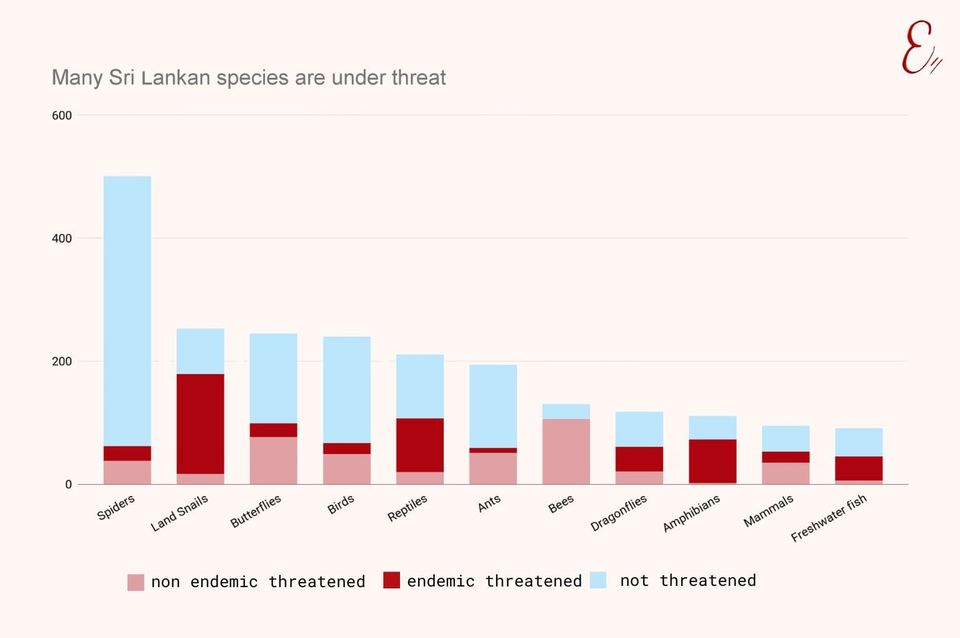 Hundreds of Sri Lankan species at risk