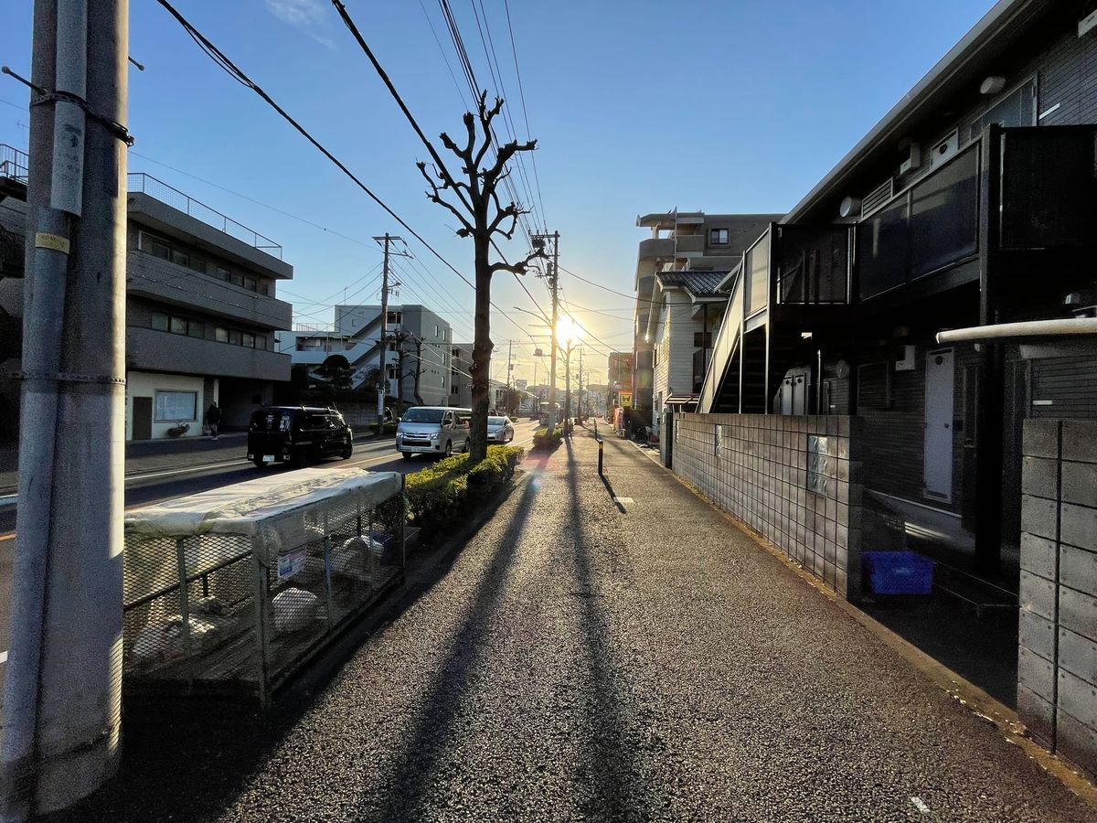 Black and Gold Mornings