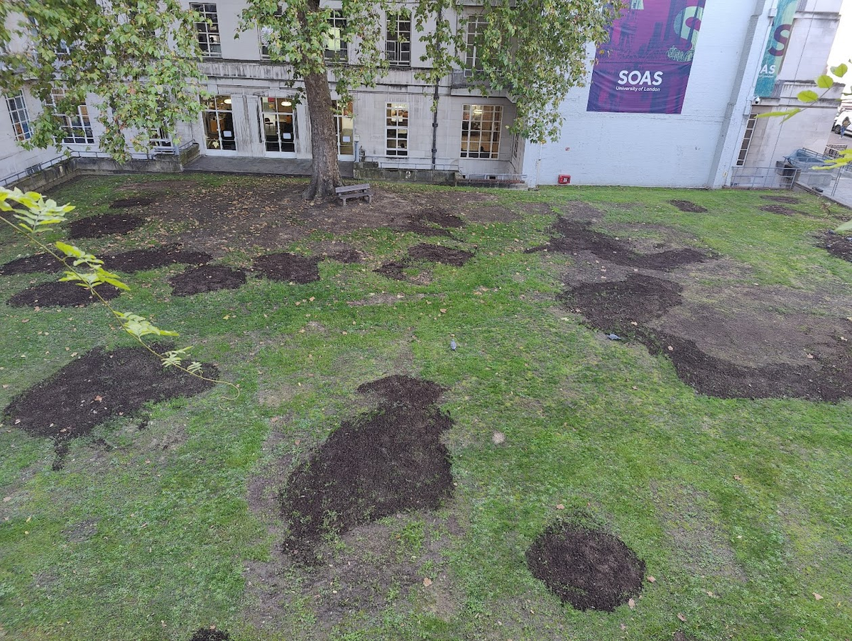 The Long Fight to Touch Grass