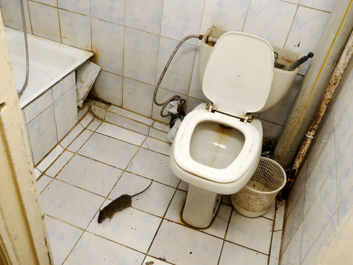 Expectations of a fresher