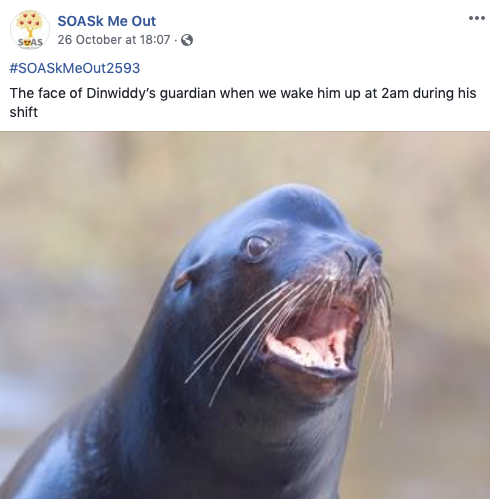 Dinwiddy House break-in reveals inadequate student protection.