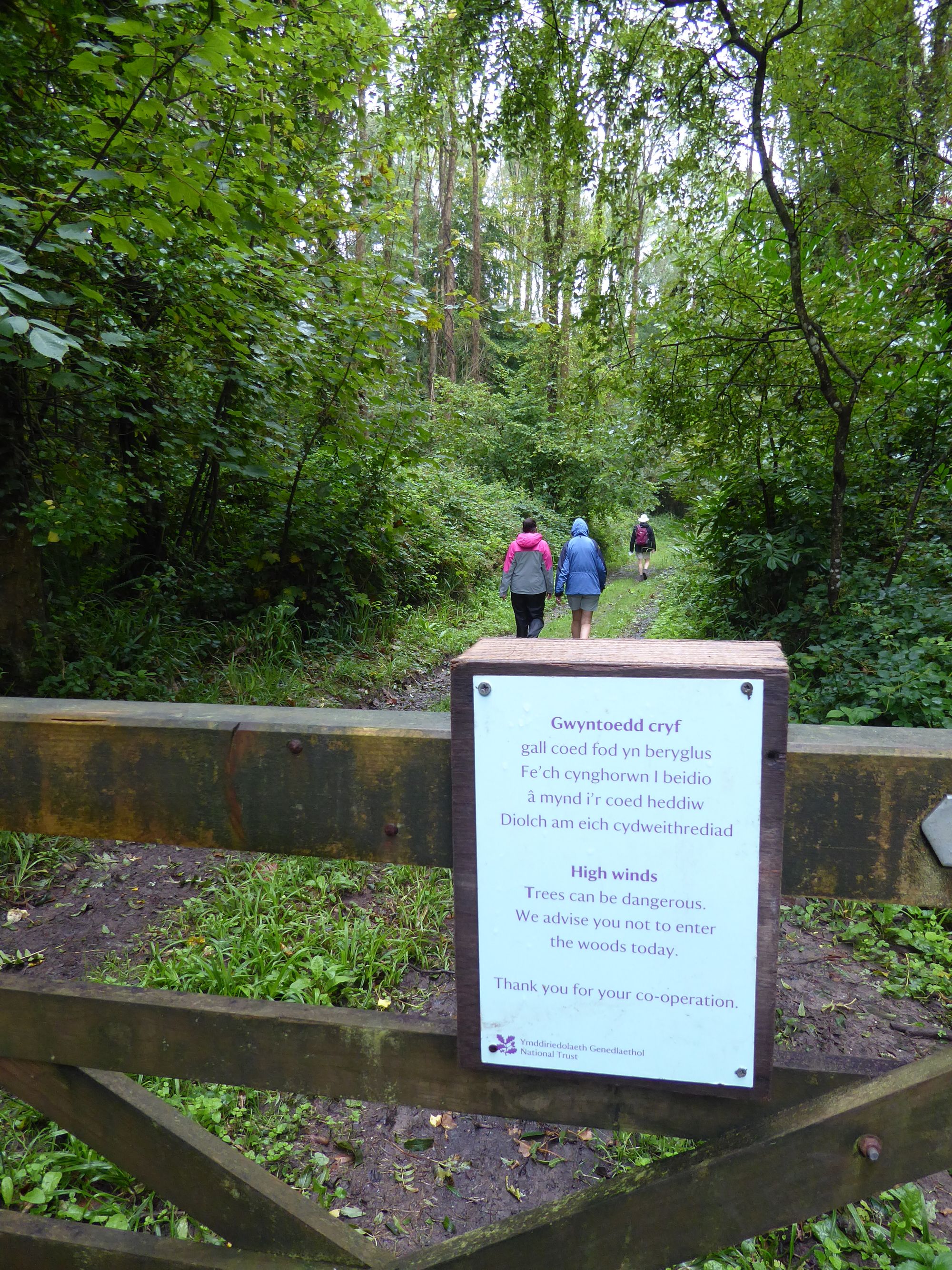 Stackpole Estate, Pembrokeshire