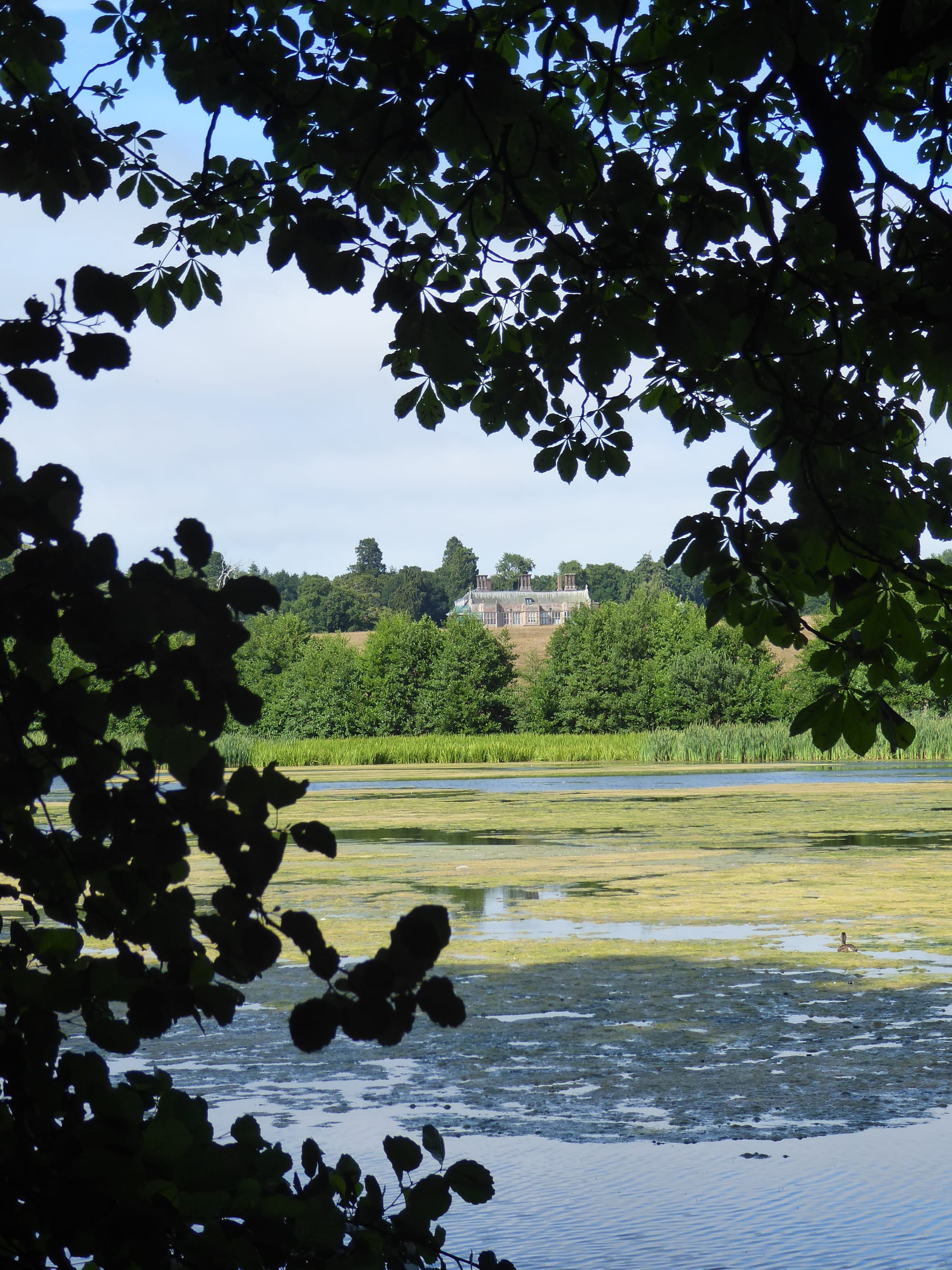 Felbrigg Hall, Norfolk