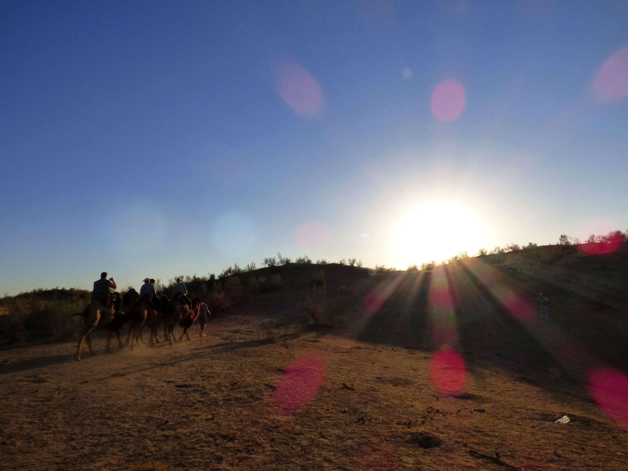 Crossing the Kyzylkum Desert