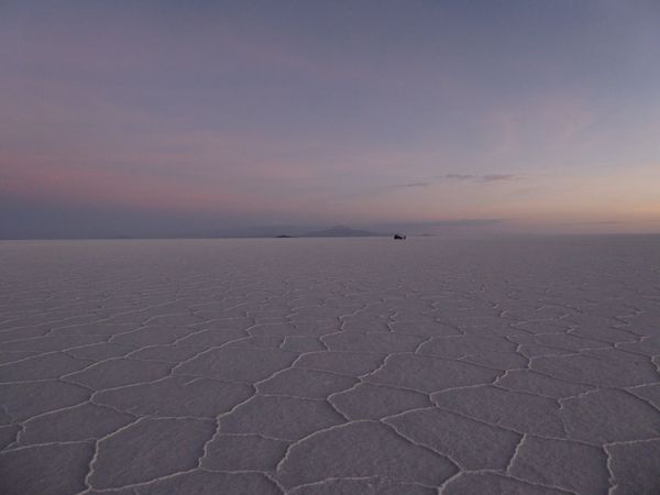 Lagoons, llamas and the Salar de Uyuni