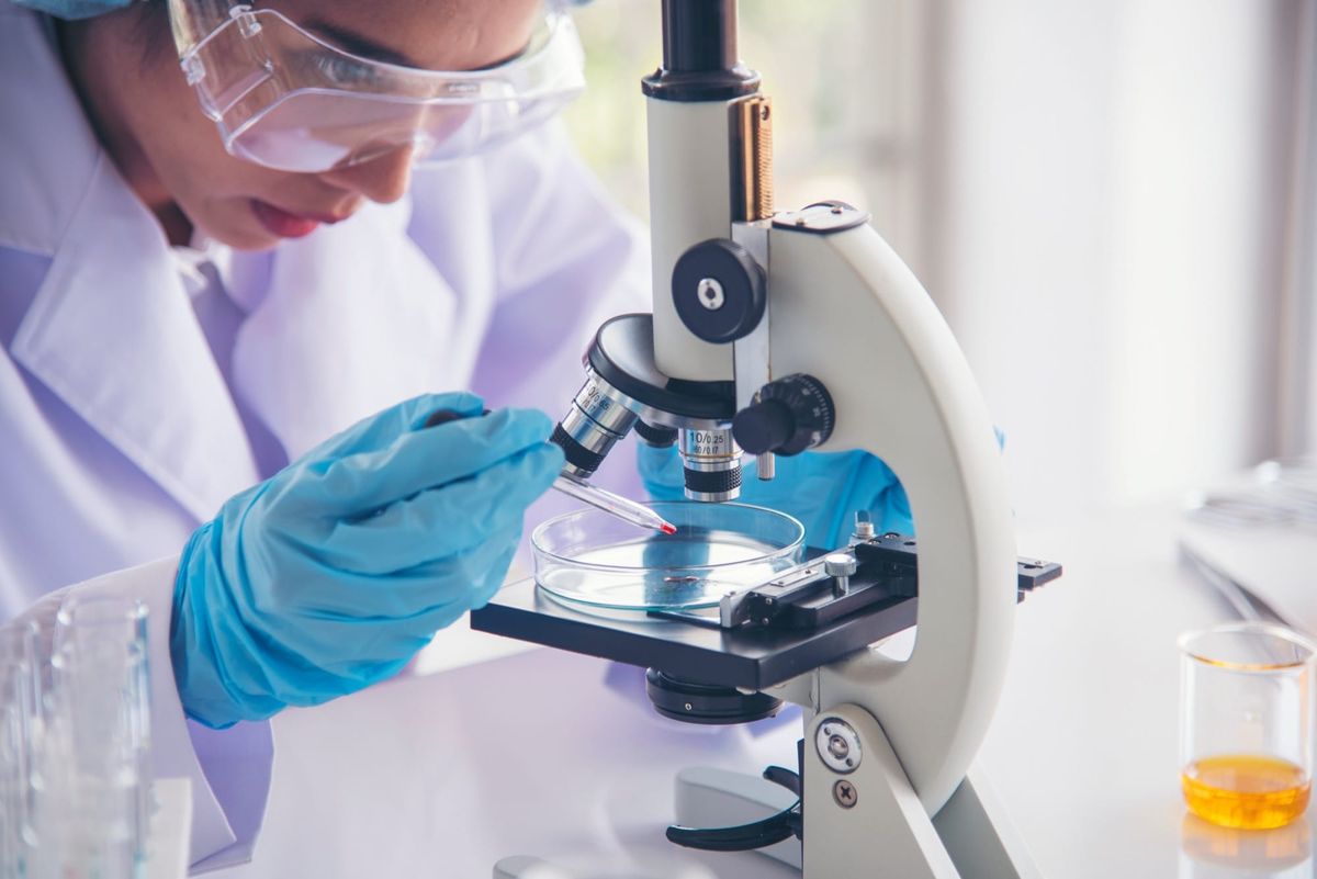O terapie a prelungit cu 50% supraviețuirea într-un cancer cerebral agresiv, în teste pe șoareci