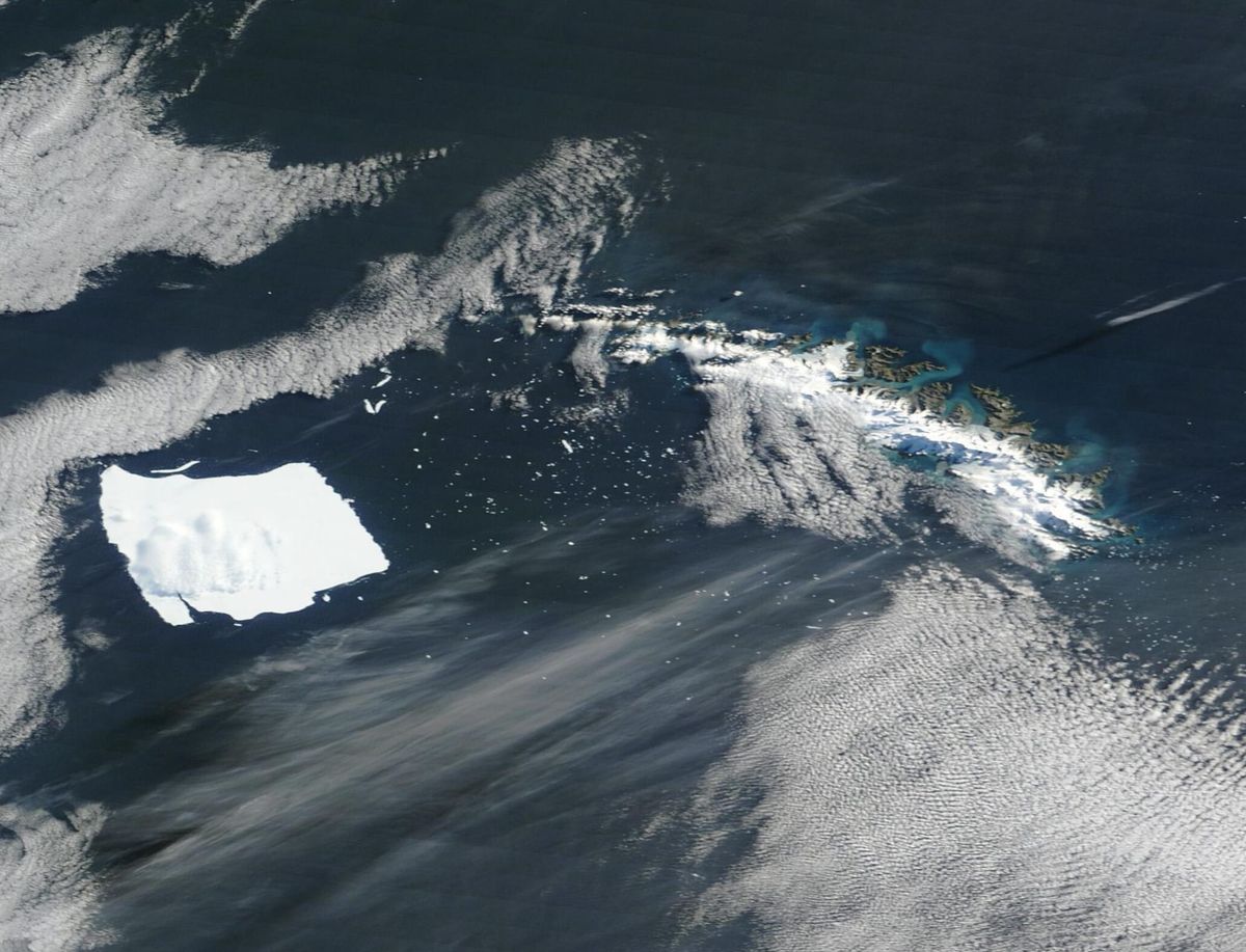 Aproape 40.000 de aisberguri mici țin sub control gheața de mare din Antarctica