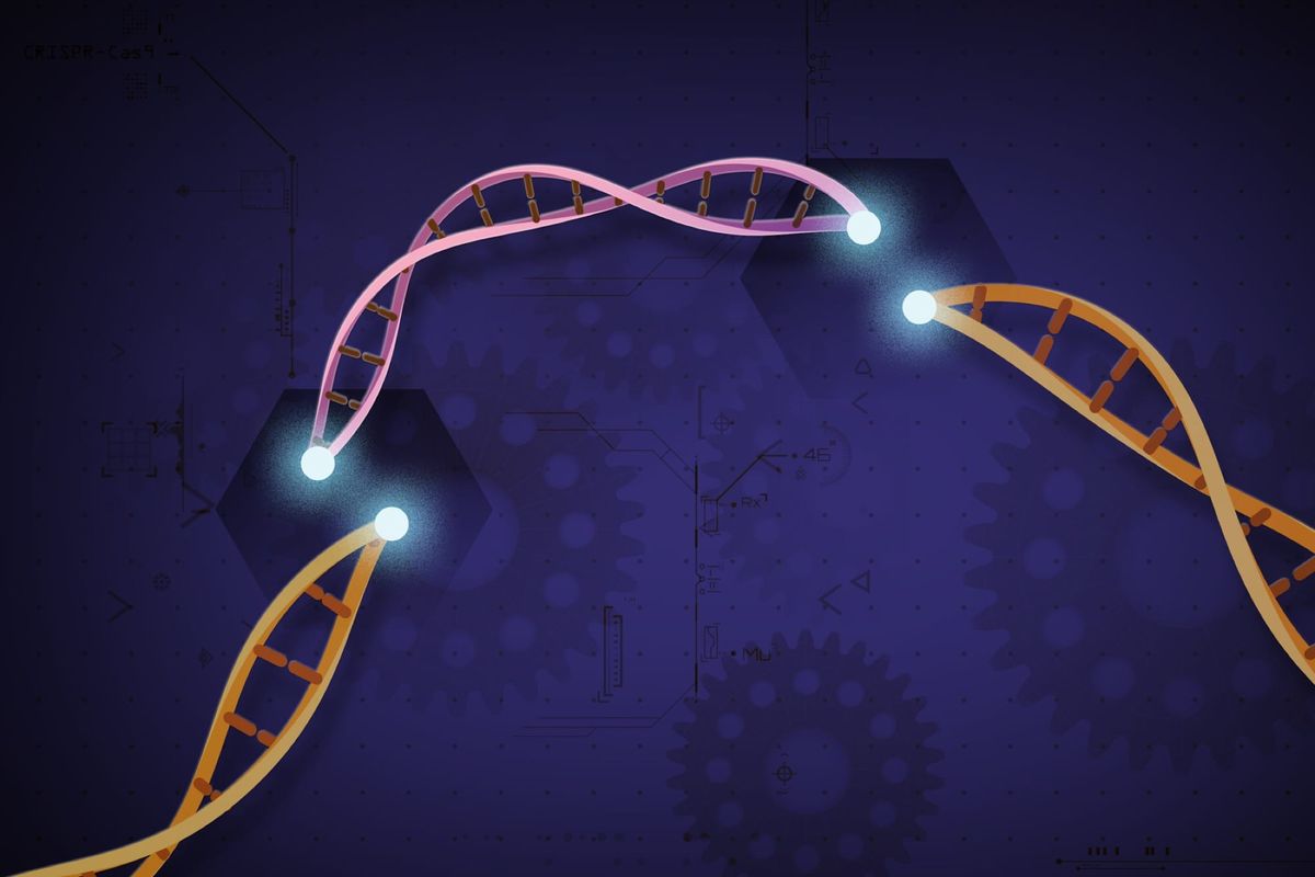 Celule stem editate cu CRISPR au rezistat unui medicament anti-leucemie, într-un studiu pe 30 de pacienți