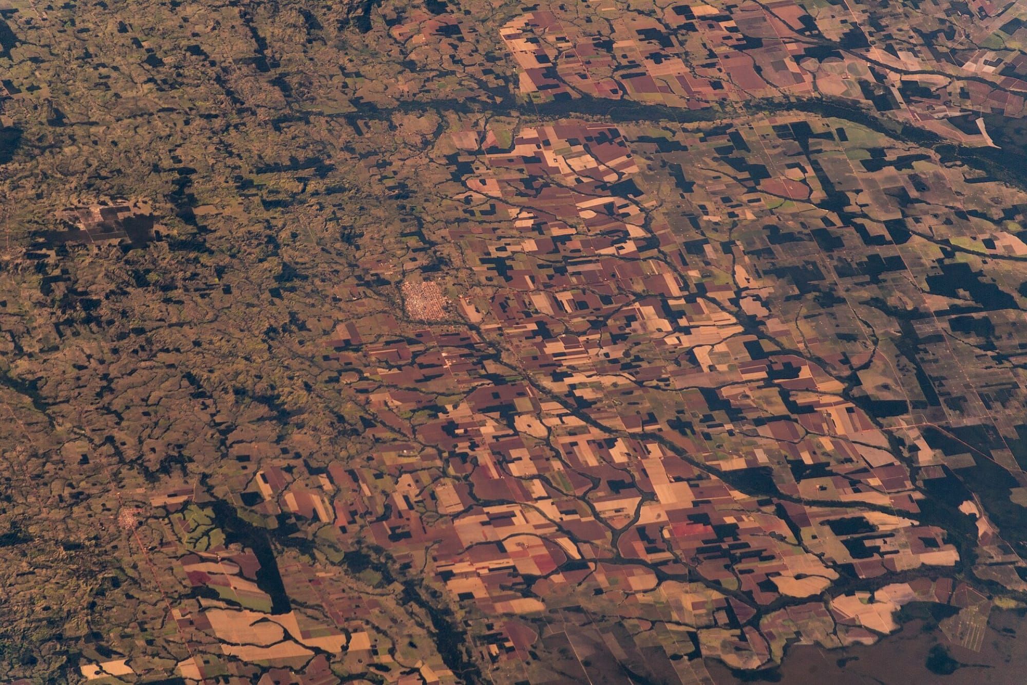 Vedere aeriană a pădurii tropicale amazoniene, cu vegetație densă