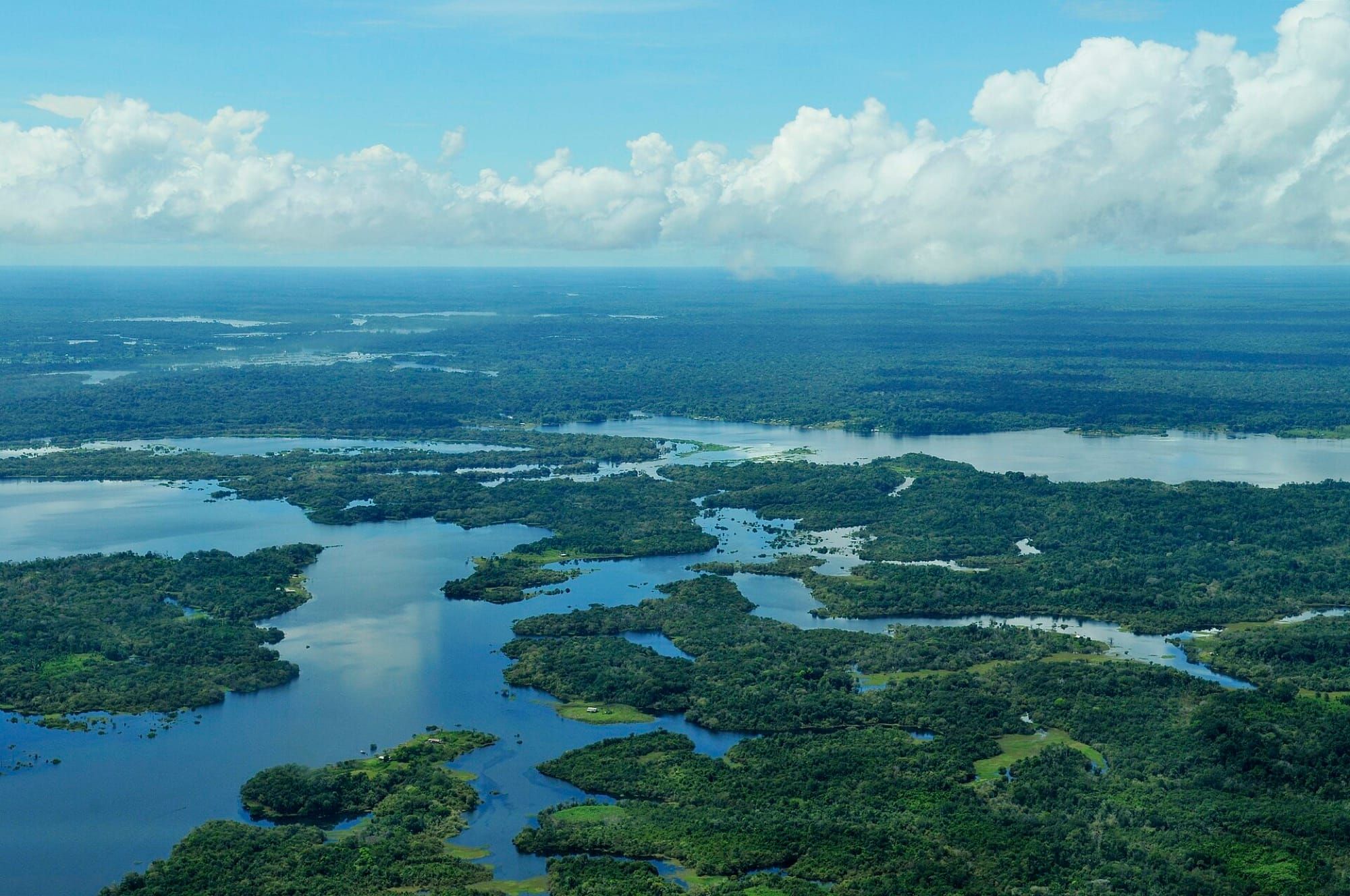 Vedere aeriană a pădurii amazoniene și a rețelei de râuri din Brazilia