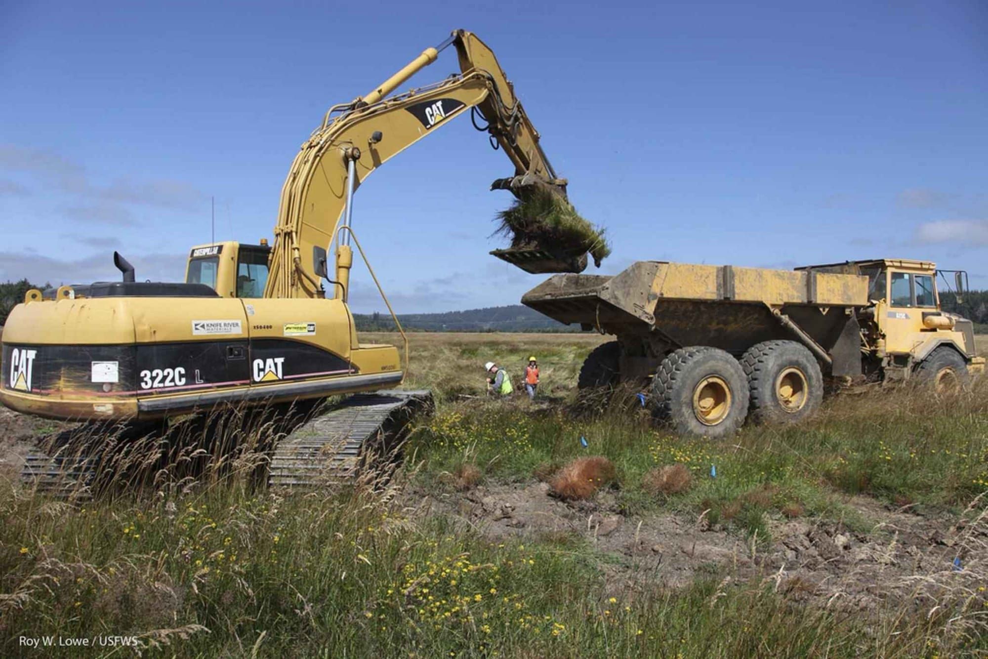 Excavator galben încarcă vegetație într-o basculantă, pe un teren deschis