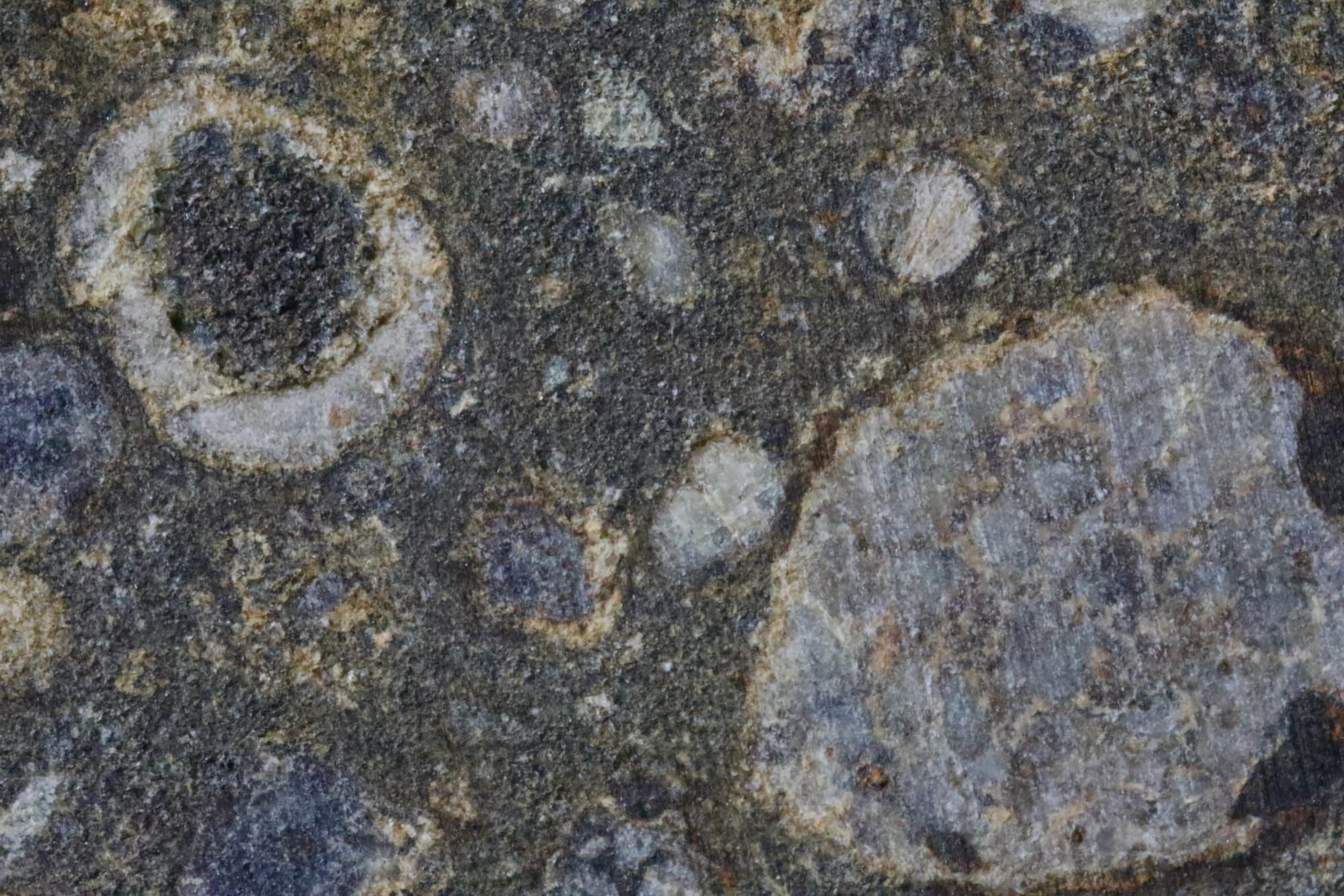 Detaliu macro al structurii interne a unui condrit carbonos, cu granule sferice vizibile