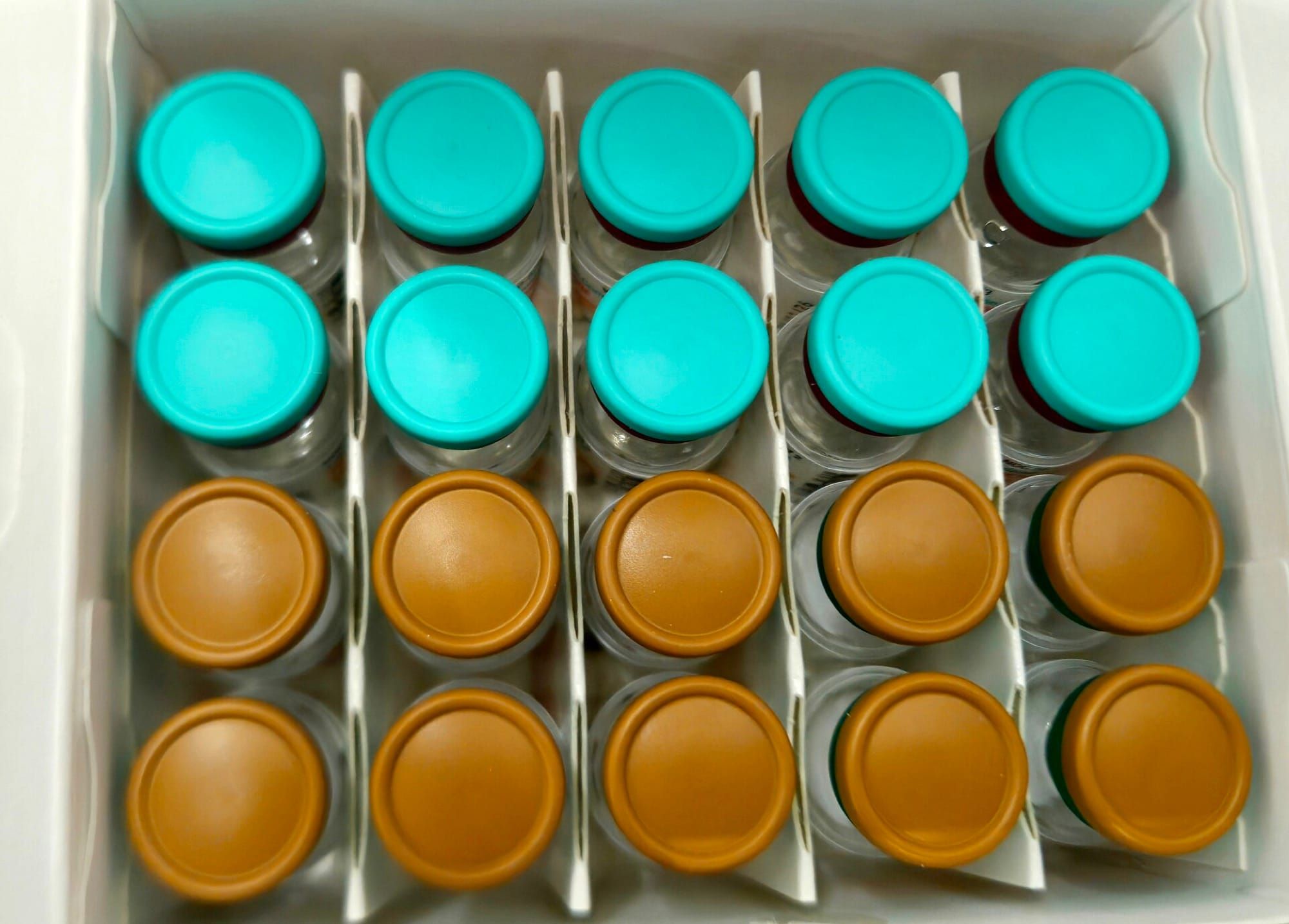 Fiole de vaccin aliniate într-o cutie de depozitare