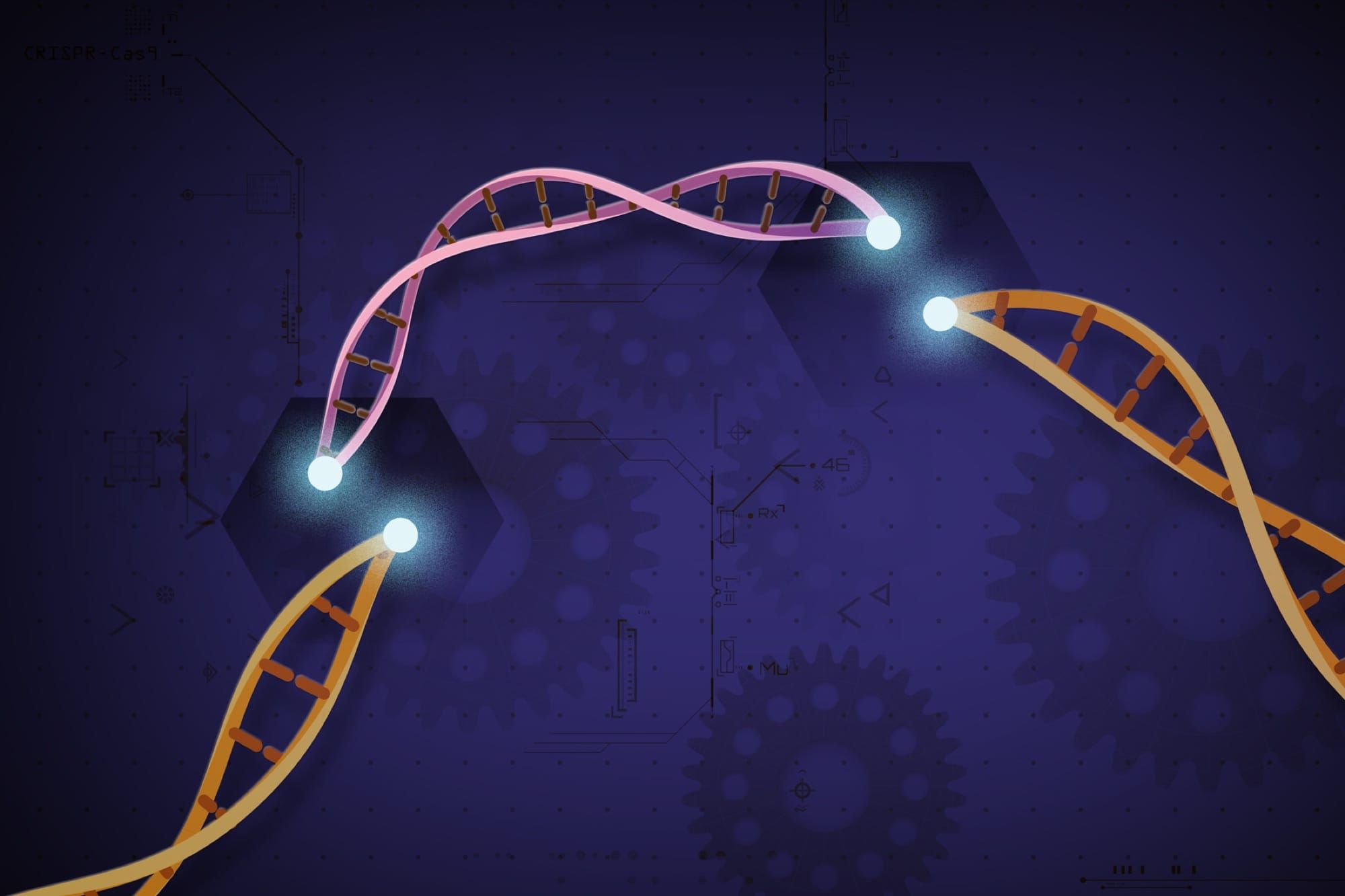 Ilustrație a ADN-ului tăiat și reparat de CRISPR-Cas9, cu două fire de ADN colorate pe fundal albastru