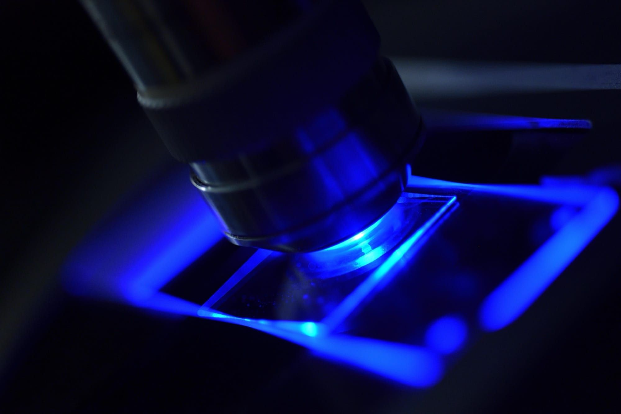 Microscop de fluorescență cu lumină albastră intensă proiectată pe o lamelă de laborator