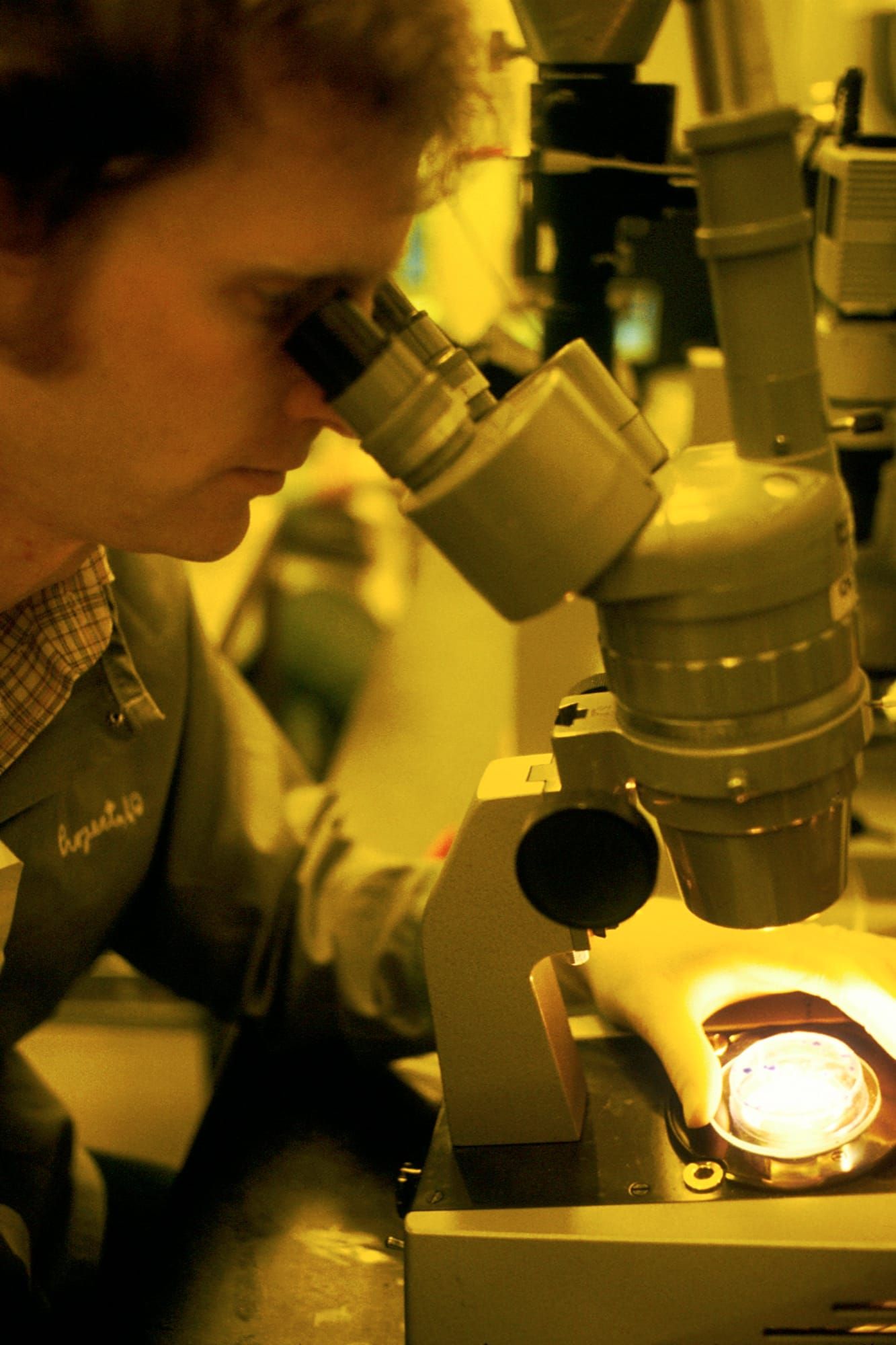 Cercetător analizând o probă de laborator la microscop