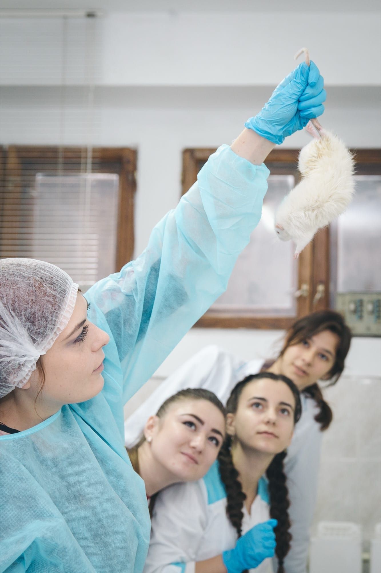 Cercetătoare într-un laborator universitar manipulând un șoarece alb de laborator