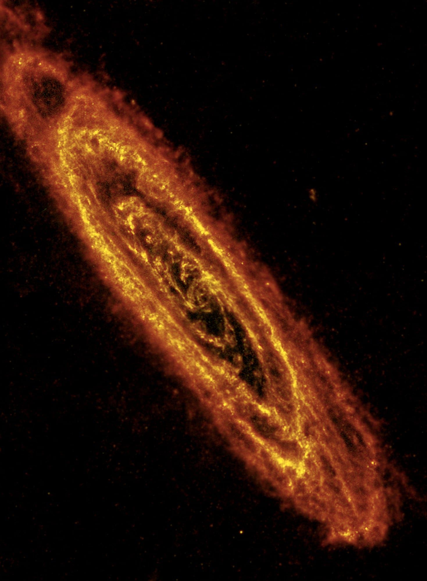 Galaxia Andromeda văzută în infraroșu îndepărtat de observatorul spațial Herschel, cu benzi portocalii și galbene de pra