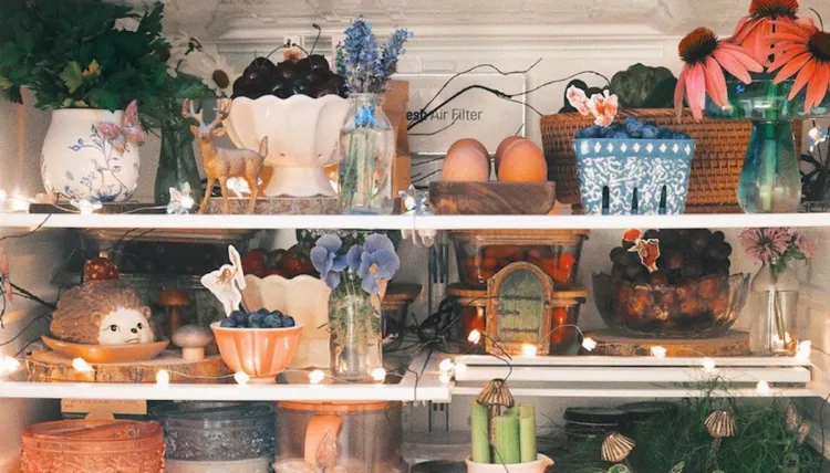 Fridgescaping: Vi flygter ind i køleskabet!