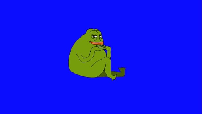 Groypers: Hvad har memes egentlig med politisk vold at gøre?