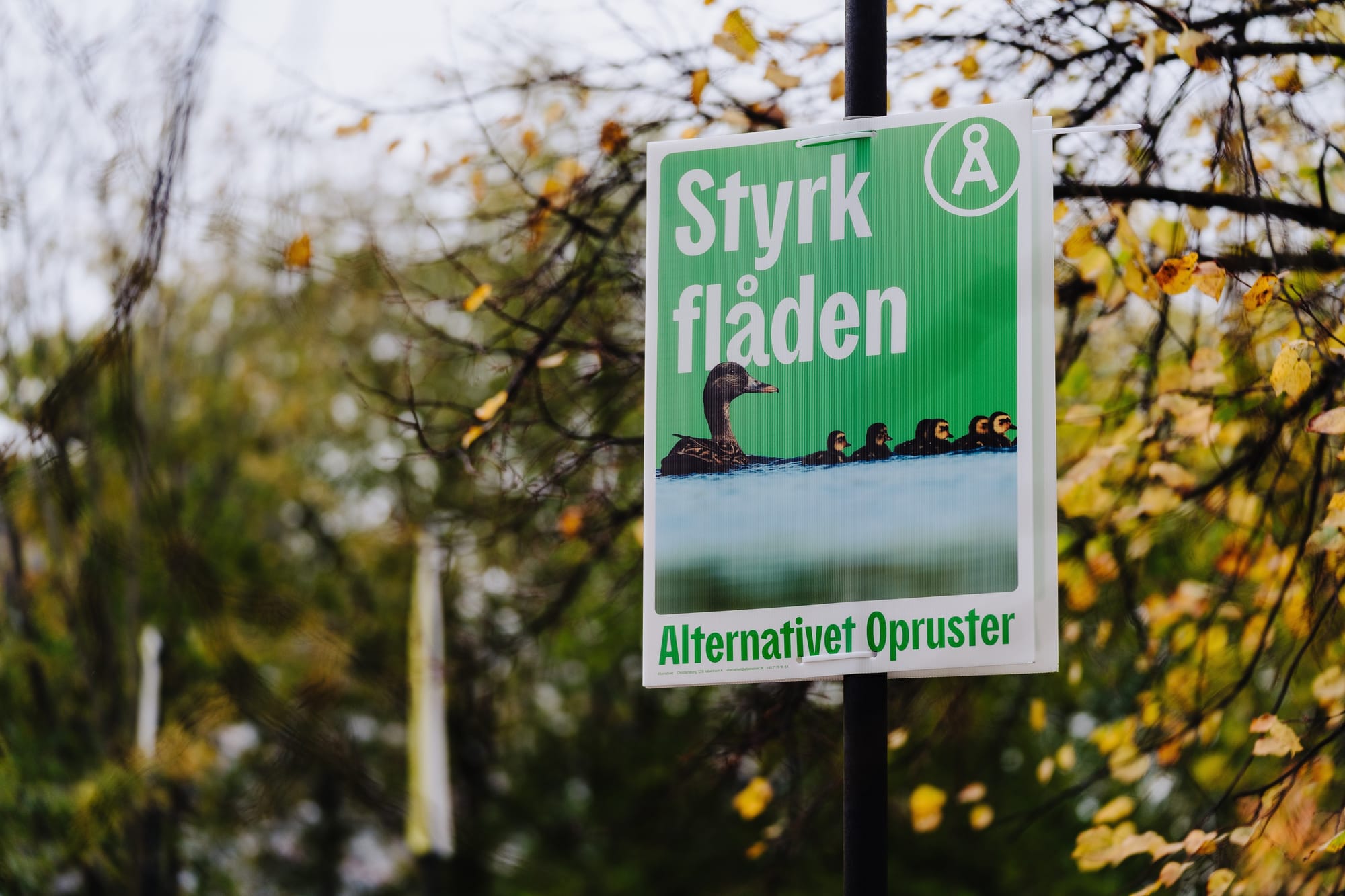 Respekt og Big Love til Alternativets alternative valgplakater