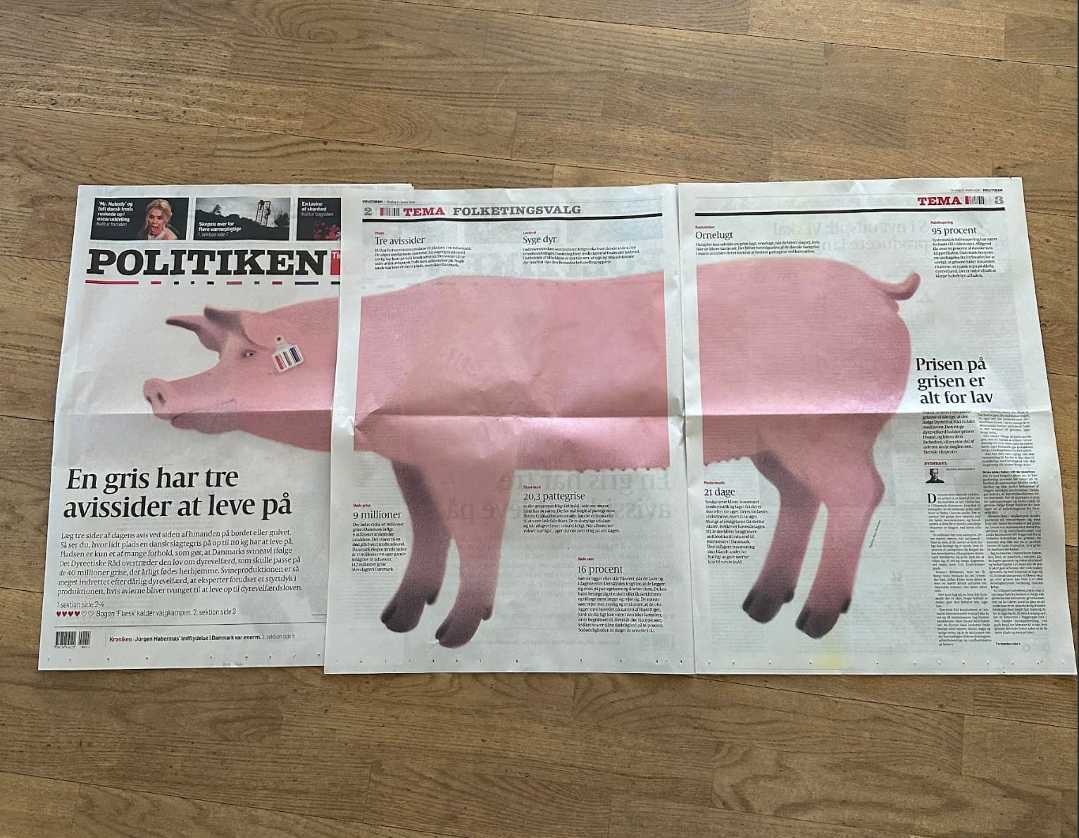 Sådan blev valget et svinevalg: Dyrenes Beskyttelses svinske spin fra snude til hale