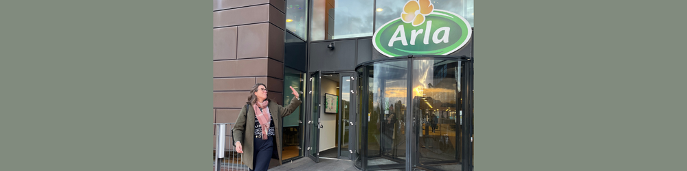 De 10 ting jeg lærte på 10 år i Arla post image