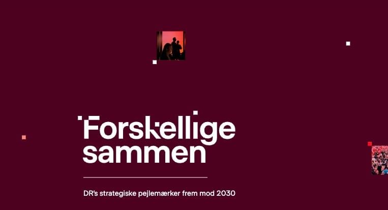 DR – Demokratisk Rollemodel post image