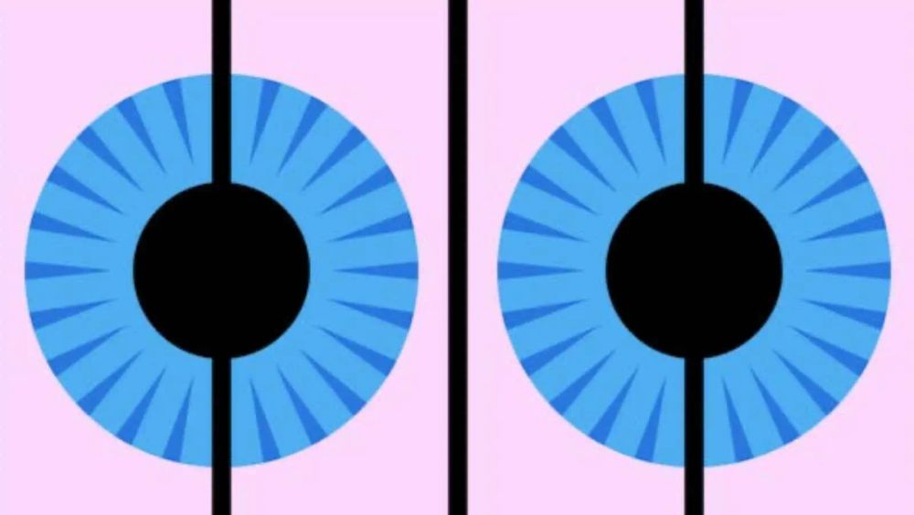 Undskyld med undskyld på: Radio IIII’s pressehåndtering var også mangelfuld post image