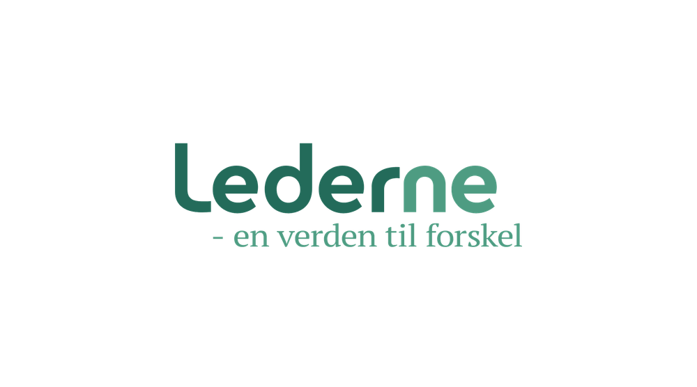 Paid Media Specialist til Lederne post image