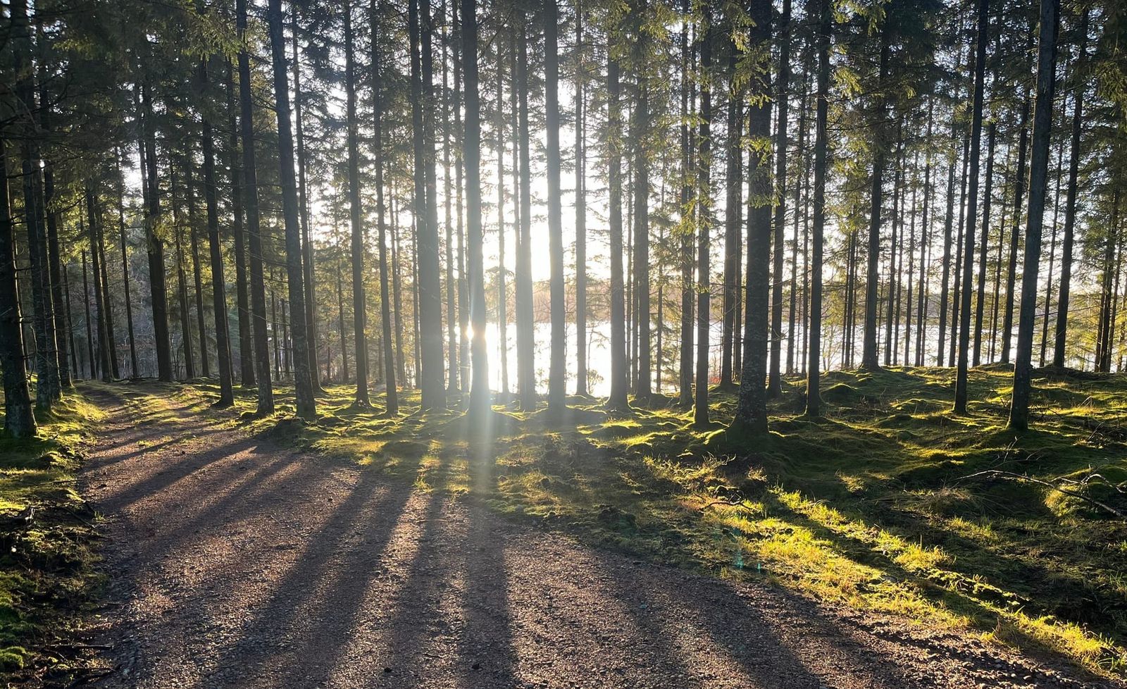 Lars Münter cover image