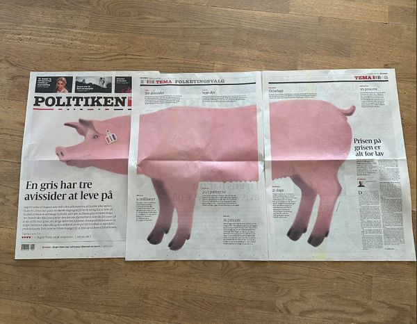 Sådan blev valget et svinevalg: Dyrenes Beskyttelses svinske spin fra snude til hale post image