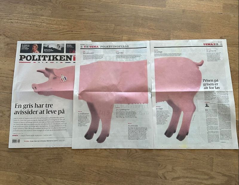 Sådan blev valget et svinevalg: Dyrenes Beskyttelses svinske spin fra snude til hale post image