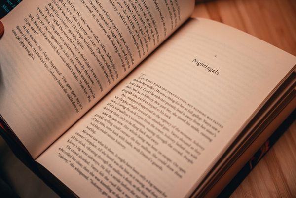 Summary of To Kill a Mockingbird, by Harper Lee