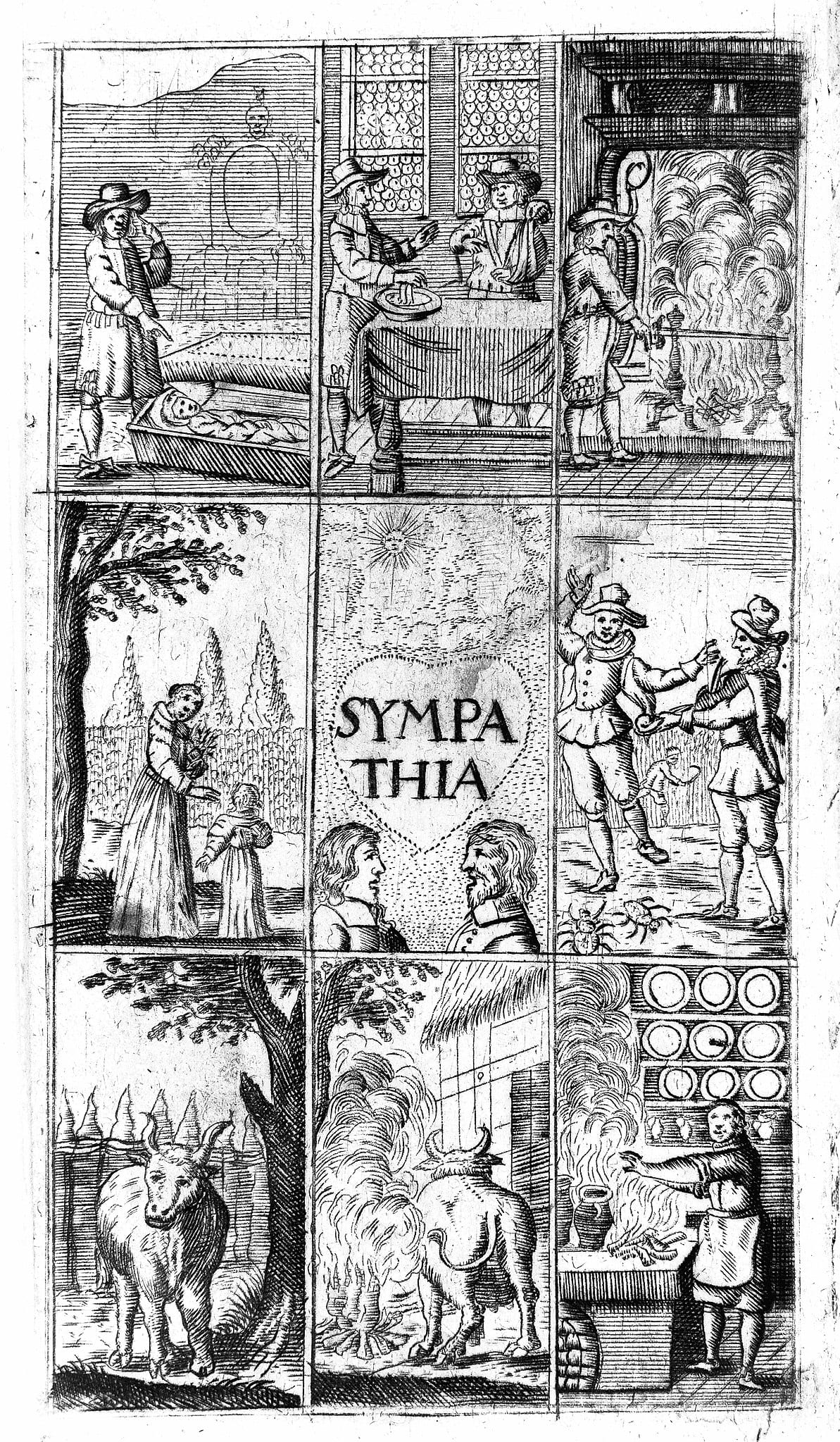 Powder of Sympathy frontispiece
