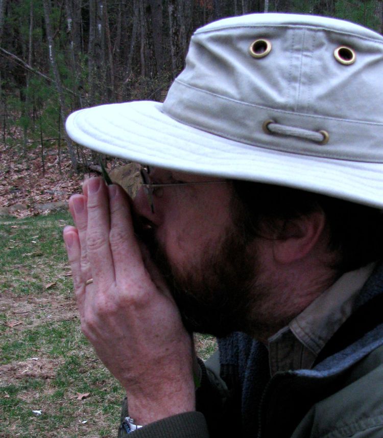 How to Play A Blade of Grass