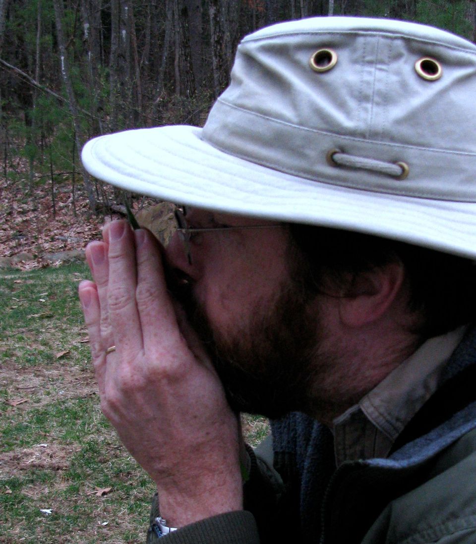 How to Play A Blade of Grass