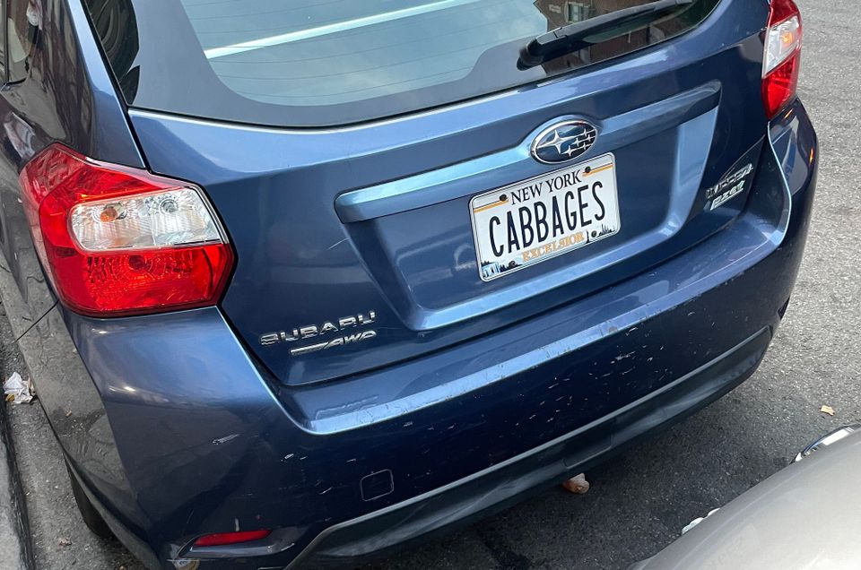Novelty License Plates of Contemporary New York