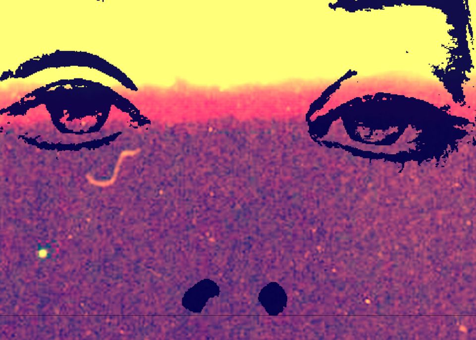 Lesbian matricide is sterile! Heterosexual fratricide is generative! Jo and Danny on "Badlands" (1973).